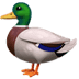 :duck: