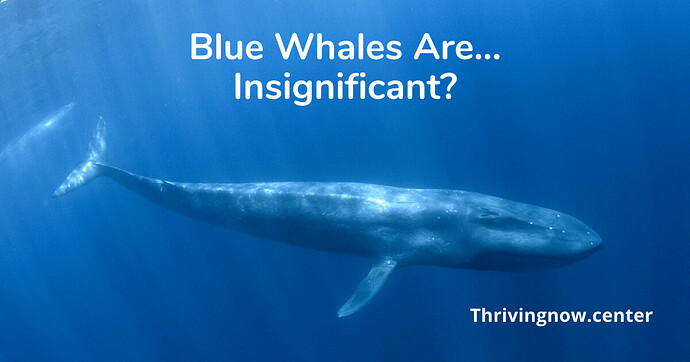 blue-whale-insignificance-1200x630