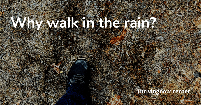 why-walk-in-the-rain-1200x630