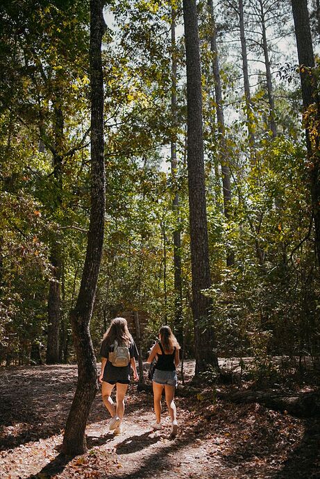 friends in nature