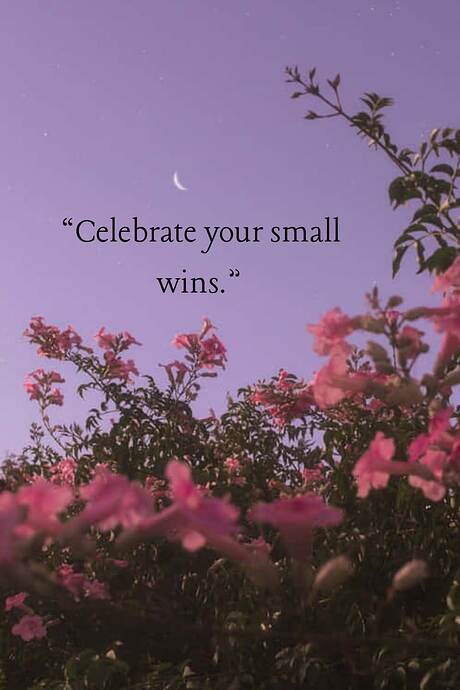 Celebrate Small Wins _ Daily Motivation Quote