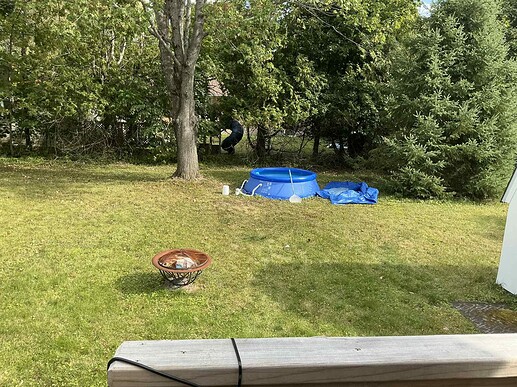 nat's backyard2