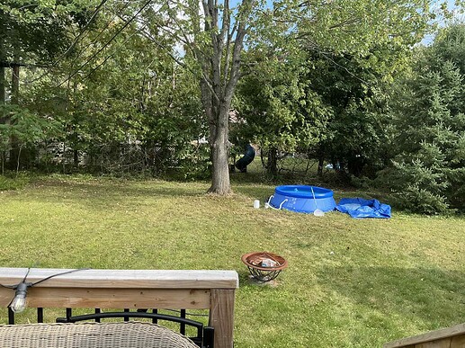nat's backyard 3