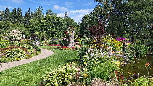 Gardens behind the studio