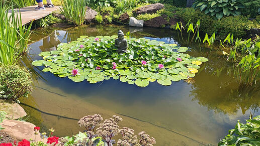 Buddha Pond