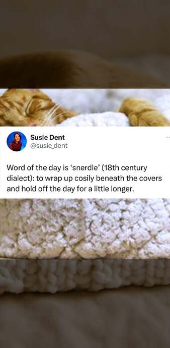 snerdle cat