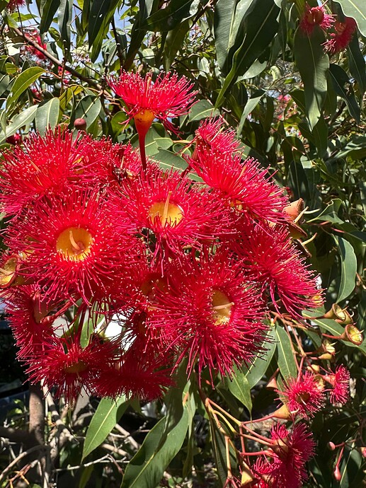 4137cea4e1ca9b728a899e193e84b8b7