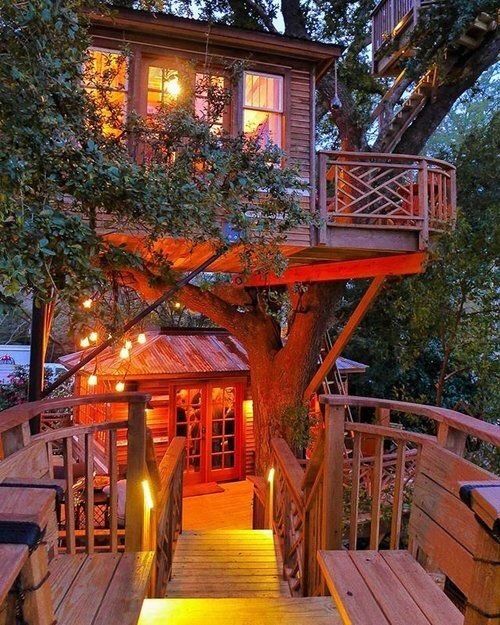 treehouse1